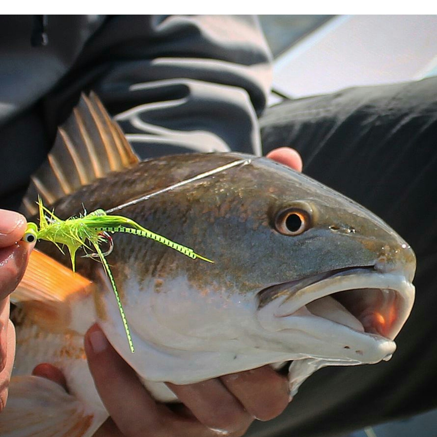 Fishing Charters | Charleston, SC | Fly Tying