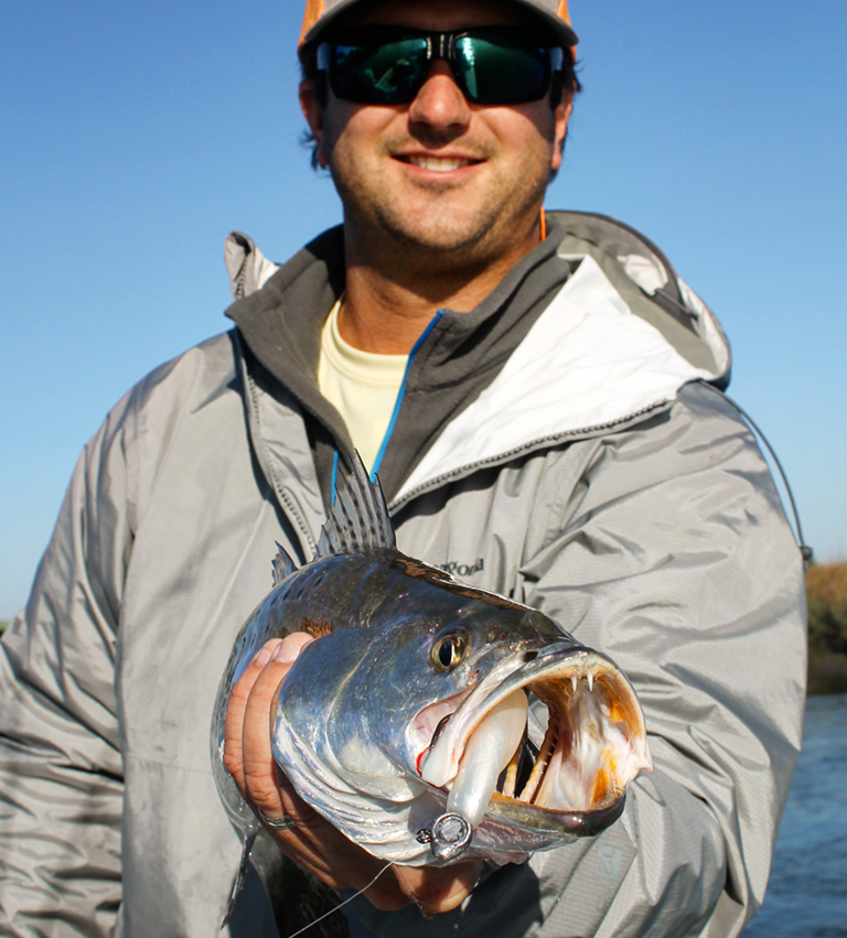 The best fishing charters in the Charleston, SC area